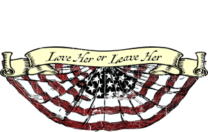 America Love Her or Leave Her